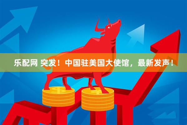 乐配网 突发！中国驻美国大使馆，最新发声！