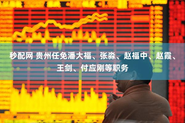 秒配网 贵州任免潘大福、张淼、赵福中、赵霞、王剑、付应刚等职务