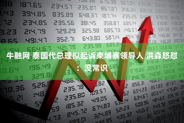 牛融网 泰国代总理拟起诉柬埔寨领导人 洪森怒怼：没常识
